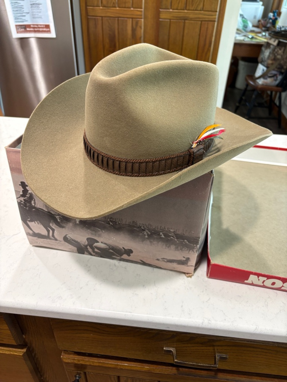 Vintage Women’s Stetson Beaver Western Cowboy Hat with Feather Accent